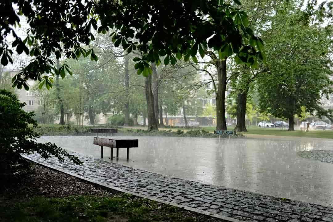 Why Clean Air After Rain Doesn’t Last Forever